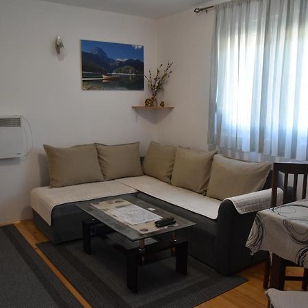 זבליאק Apartment Vuk מראה חיצוני תמונה