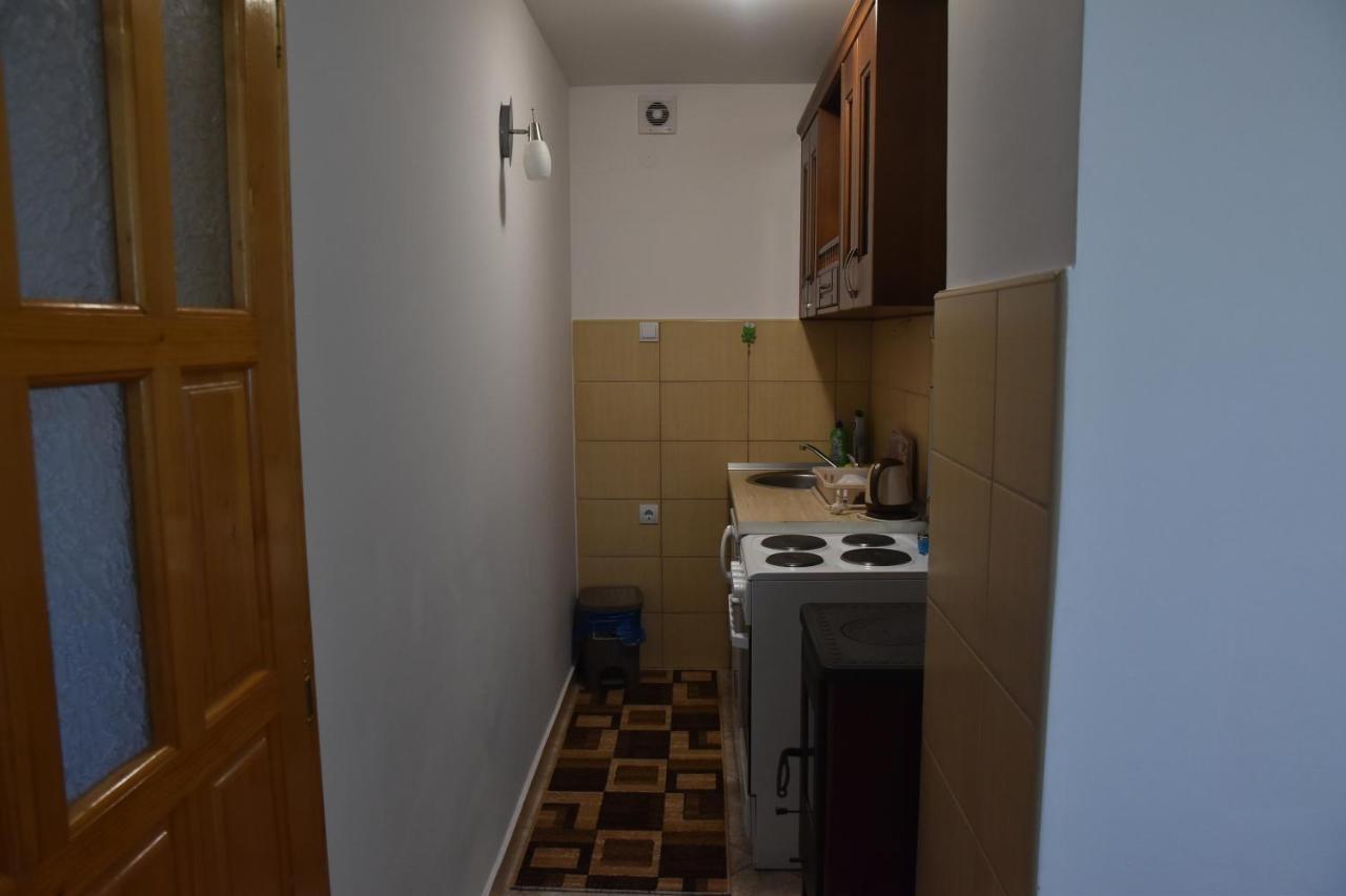 זבליאק Apartment Vuk מראה חיצוני תמונה